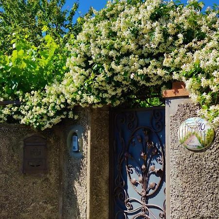 La Primavera أناكابْري المظهر الخارجي الصورة