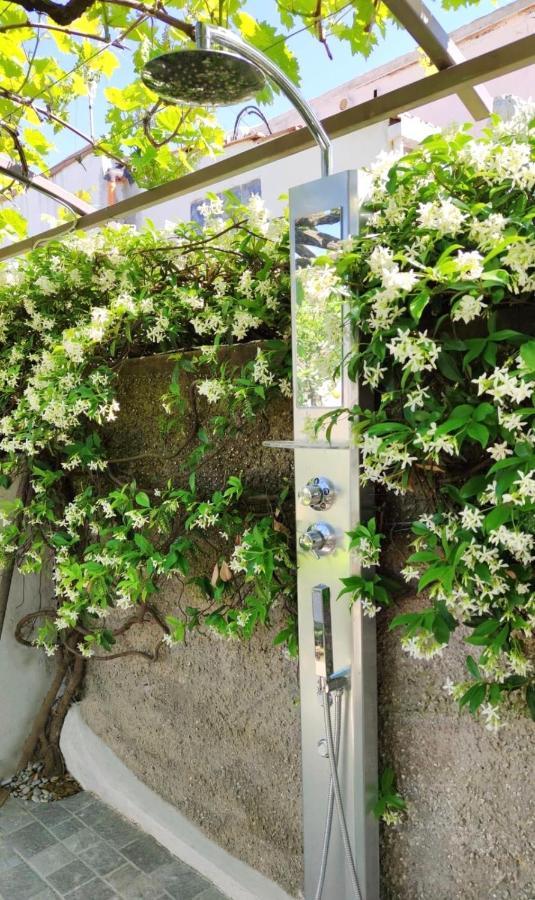 La Primavera أناكابْري المظهر الخارجي الصورة